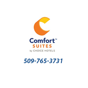 Comfort Suites Logo